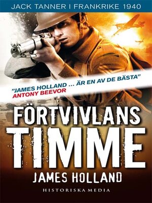 cover image of Förtvivlans timme